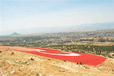 Mut’taki 21 Dönümlük Türk Bayrağı Boyanıyor